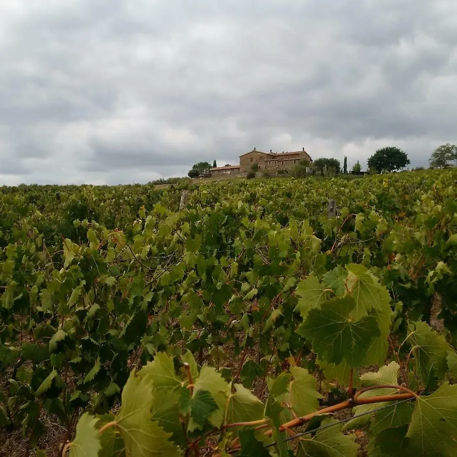 Farm stay Agriturismo Podere Del Vescovo Montenero d'Orcia Italy