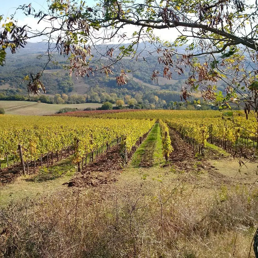 Agriturismo Podere Del Vescovo Montenero d'Orcia