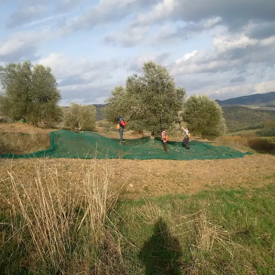 Lantgård Agriturismo Podere Del Vescovo Montenero d'Orcia
