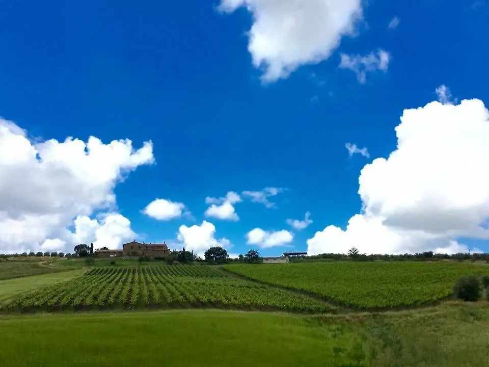 Agriturismo Podere Del Vescovo Montenero d'Orcia Italien
